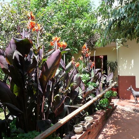 Kukuli Lodge B&B Cuzco Exterior photo