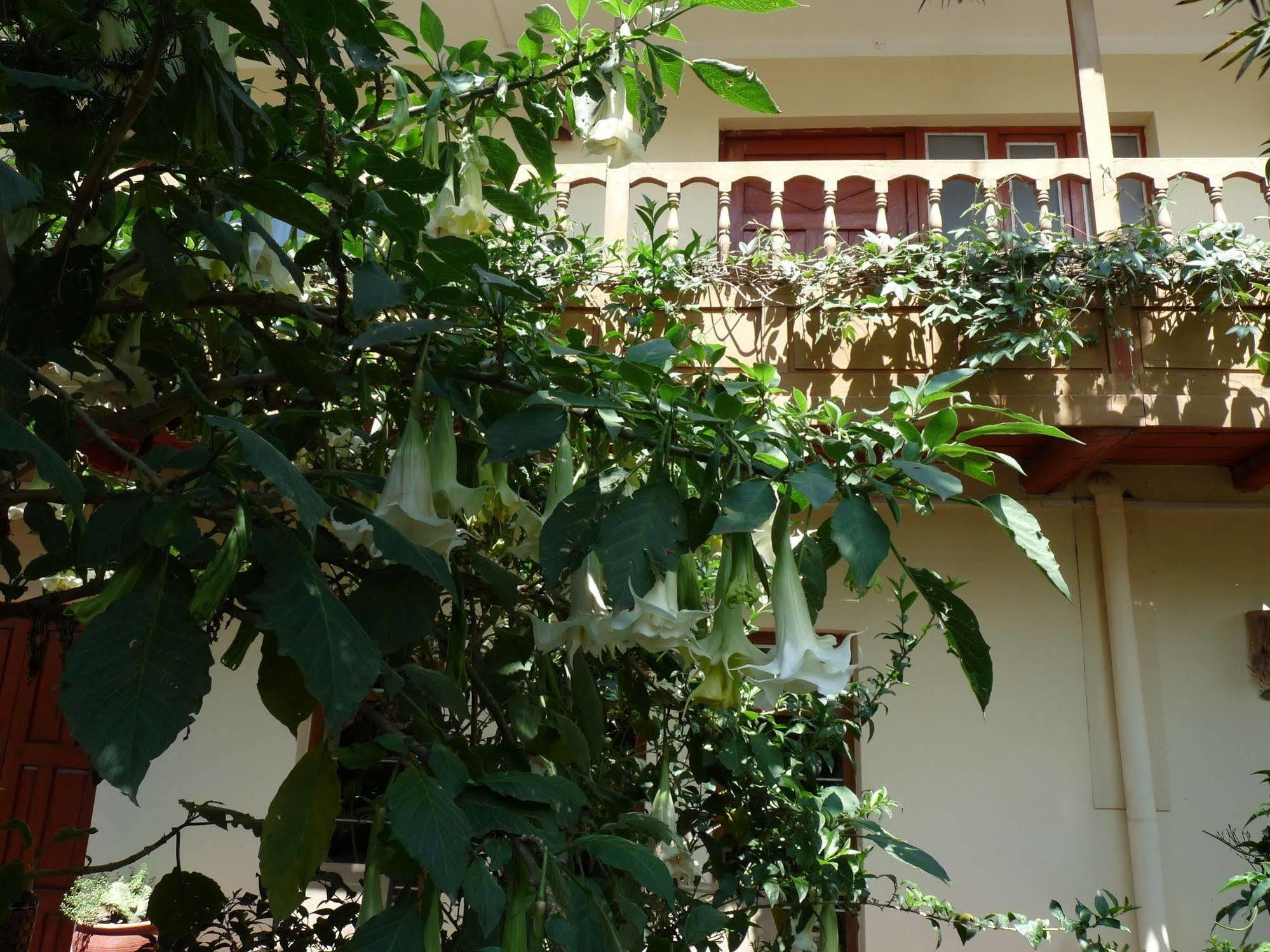 Kukuli Lodge B&B Cuzco Exterior photo